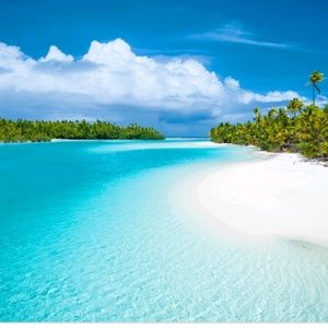 Meet your Posher, Kammie